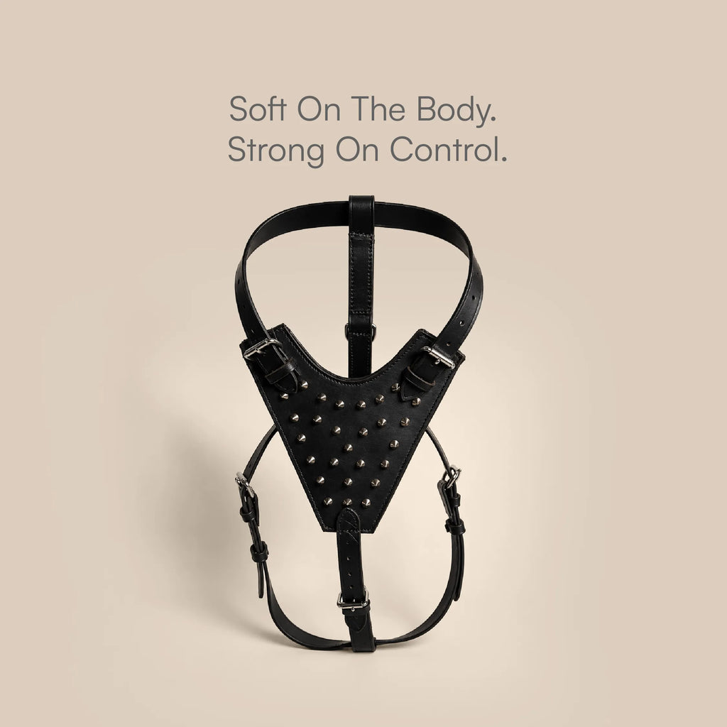 Oathkeeper Spike Harness – Soft Premium Leather | Silver Rivet Design | Adjustable & Secure Fit
