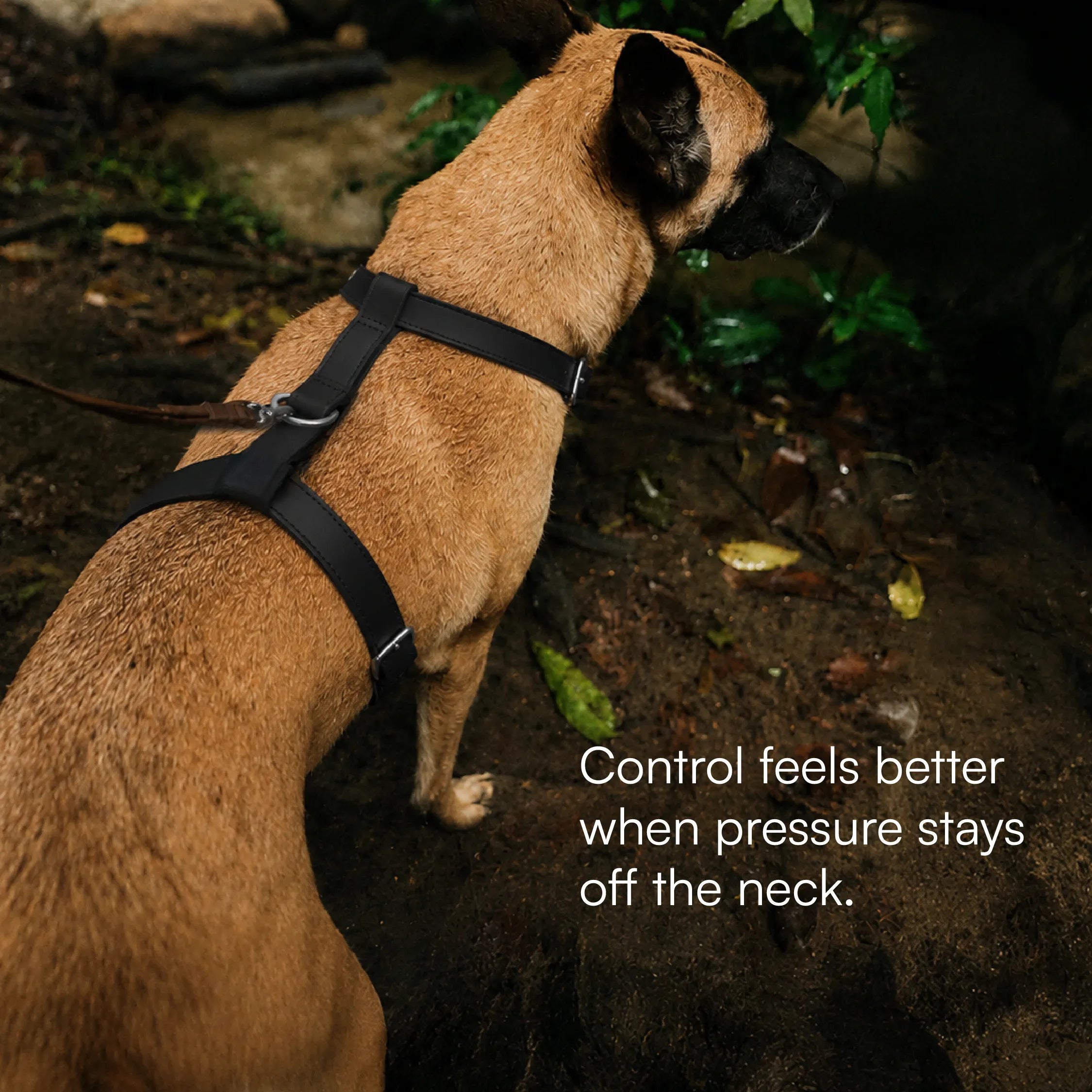 Oathkeeper Spike Harness – Soft Premium Leather | Silver Rivet Design | Adjustable & Secure Fit