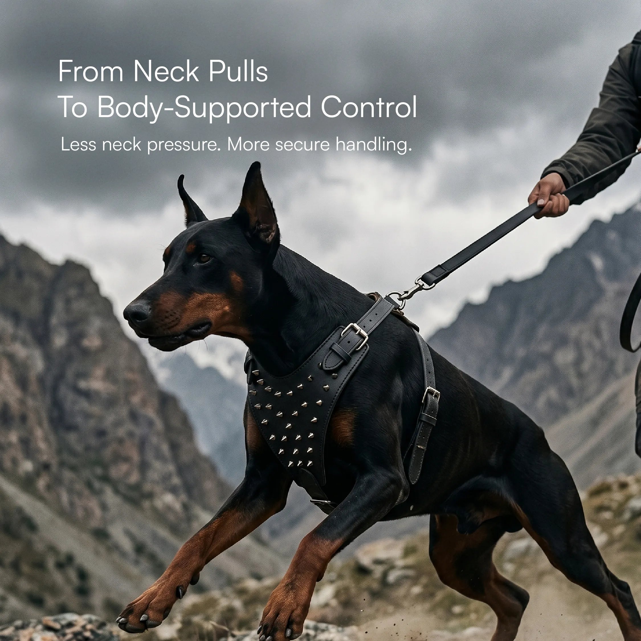 Oathkeeper Spike Harness – Soft Premium Leather | Silver Rivet Design | Adjustable & Secure Fit