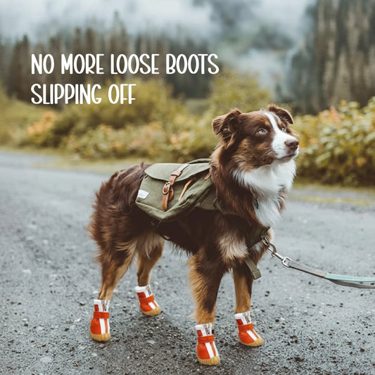 ZipTrek Boots | Secure Fit | Waterproof Paw Protection