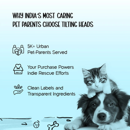 ZipTrek Boots | Secure Fit | Waterproof Paw Protection