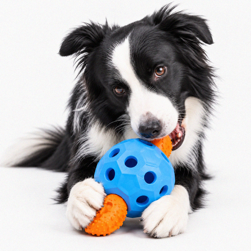 ChewOrbit Toy