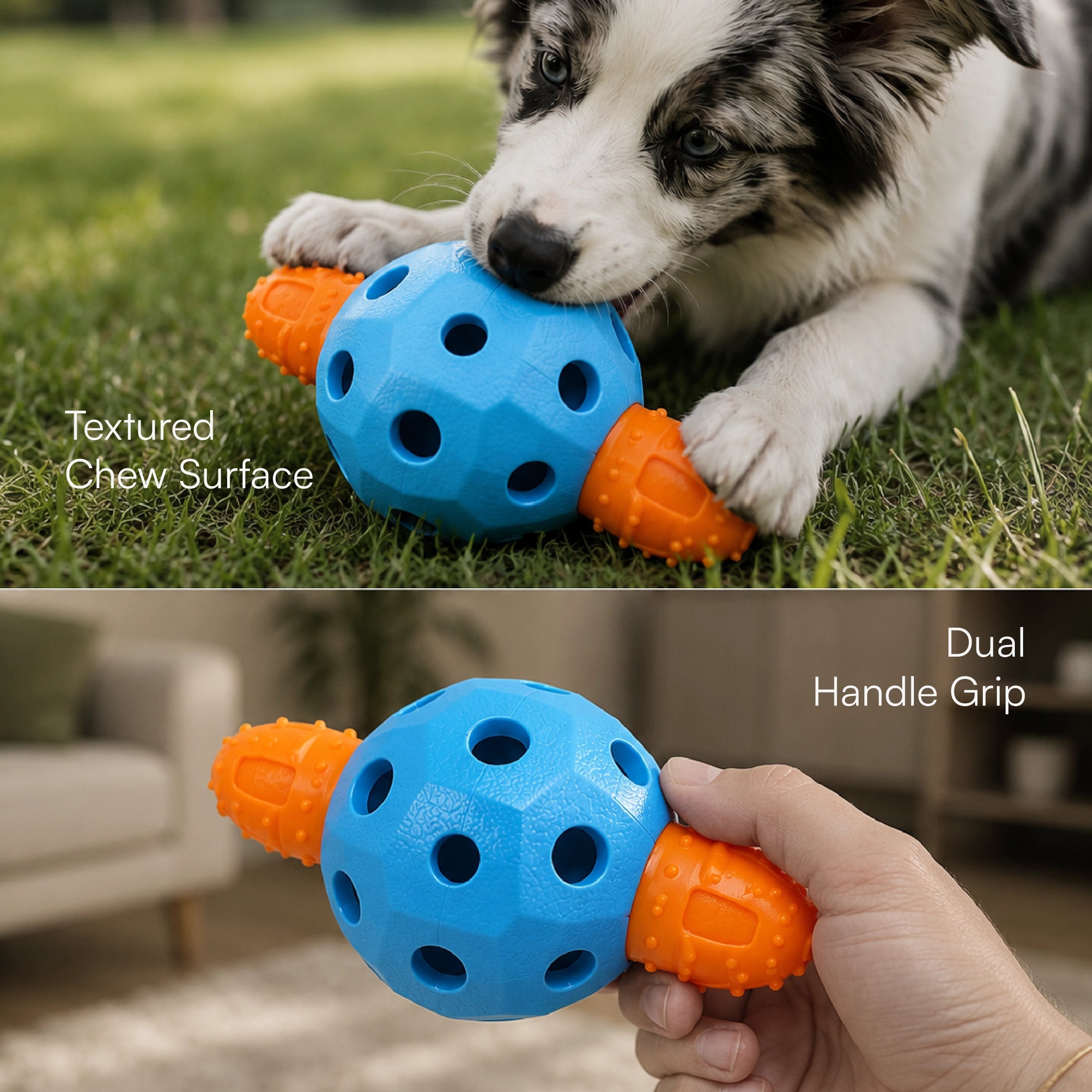 ChewOrbit Toy