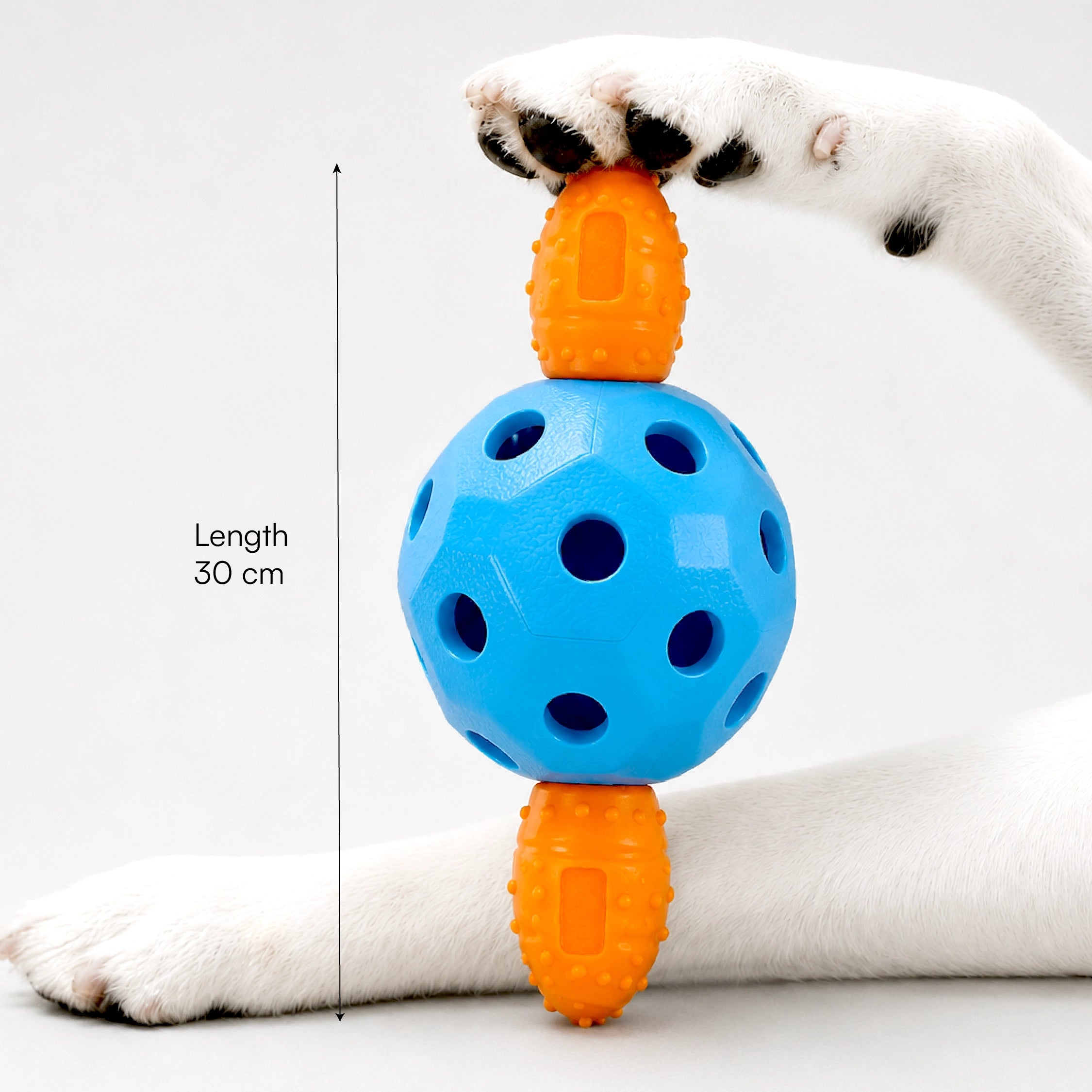 ChewOrbit Toy