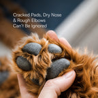 Paw Balm - Triple Butter Formula for Dogs & Cats | Lick Safe Paw Balm for Cracked & Dry Paws and Nose | Heals, Repairs & Moisturizes Paws, Elbows & Dry Itchy Nose (50 gms)