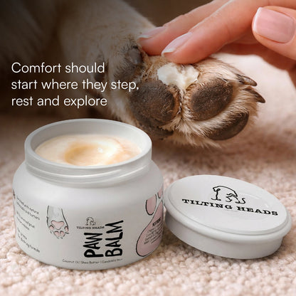 Paw Balm - Triple Butter Formula for Dogs & Cats | Lick Safe Paw Balm for Cracked & Dry Paws and Nose | Heals, Repairs & Moisturizes Paws, Elbows & Dry Itchy Nose (50 gms)