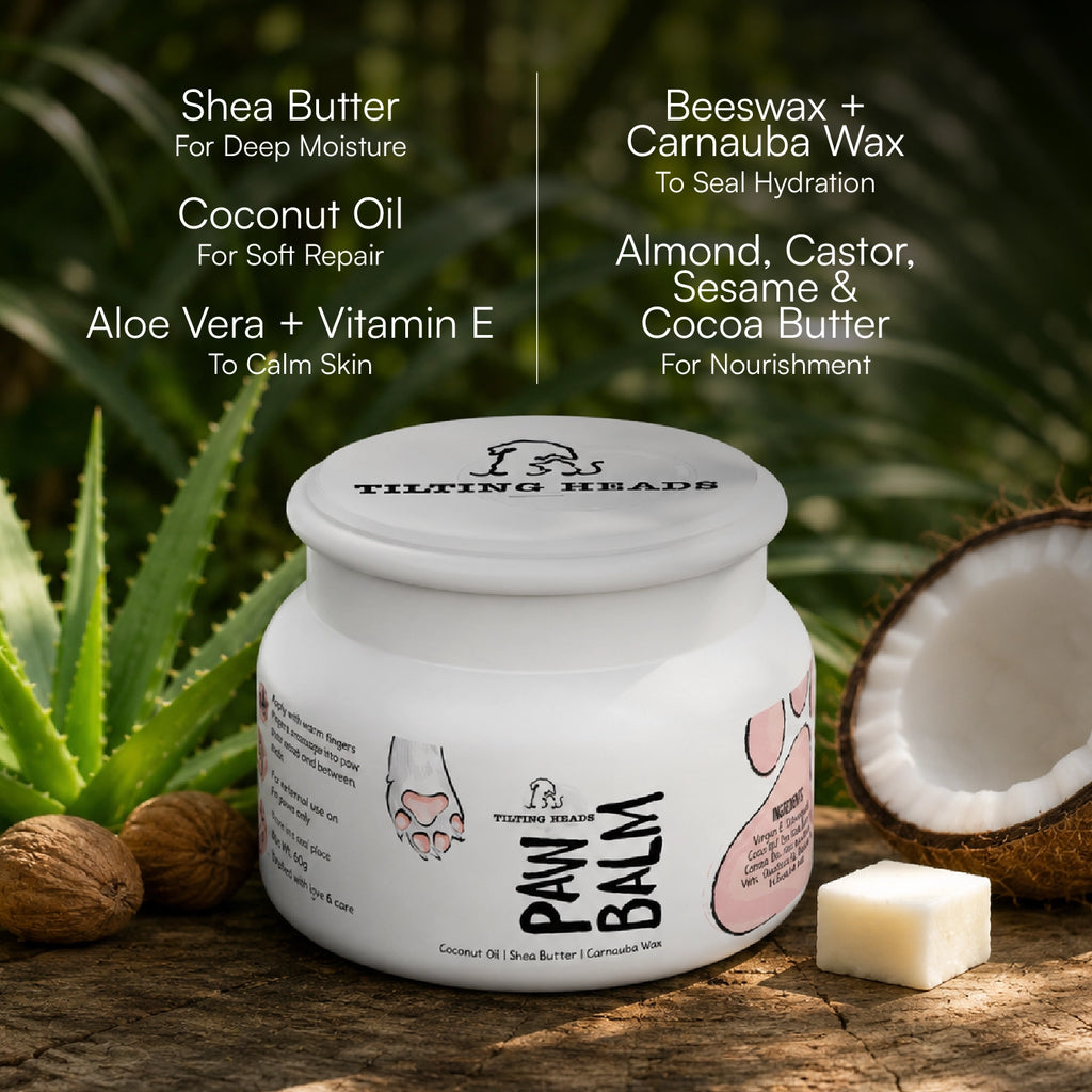 Paw Balm - Triple Butter Formula for Dogs & Cats | Lick Safe Paw Balm for Cracked & Dry Paws and Nose | Heals, Repairs & Moisturizes Paws, Elbows & Dry Itchy Nose (50 gms)