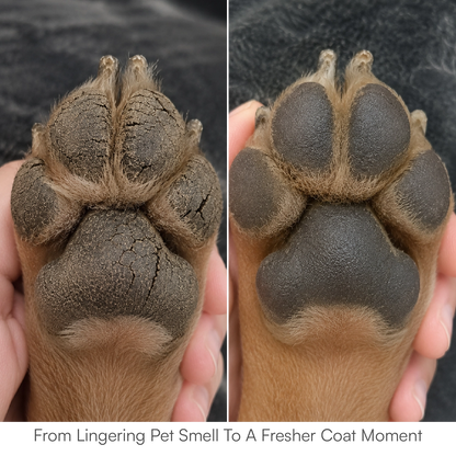 Paw Balm - Triple Butter Formula for Dogs & Cats | Lick Safe Paw Balm for Cracked & Dry Paws and Nose | Heals, Repairs & Moisturizes Paws, Elbows & Dry Itchy Nose (50 gms)