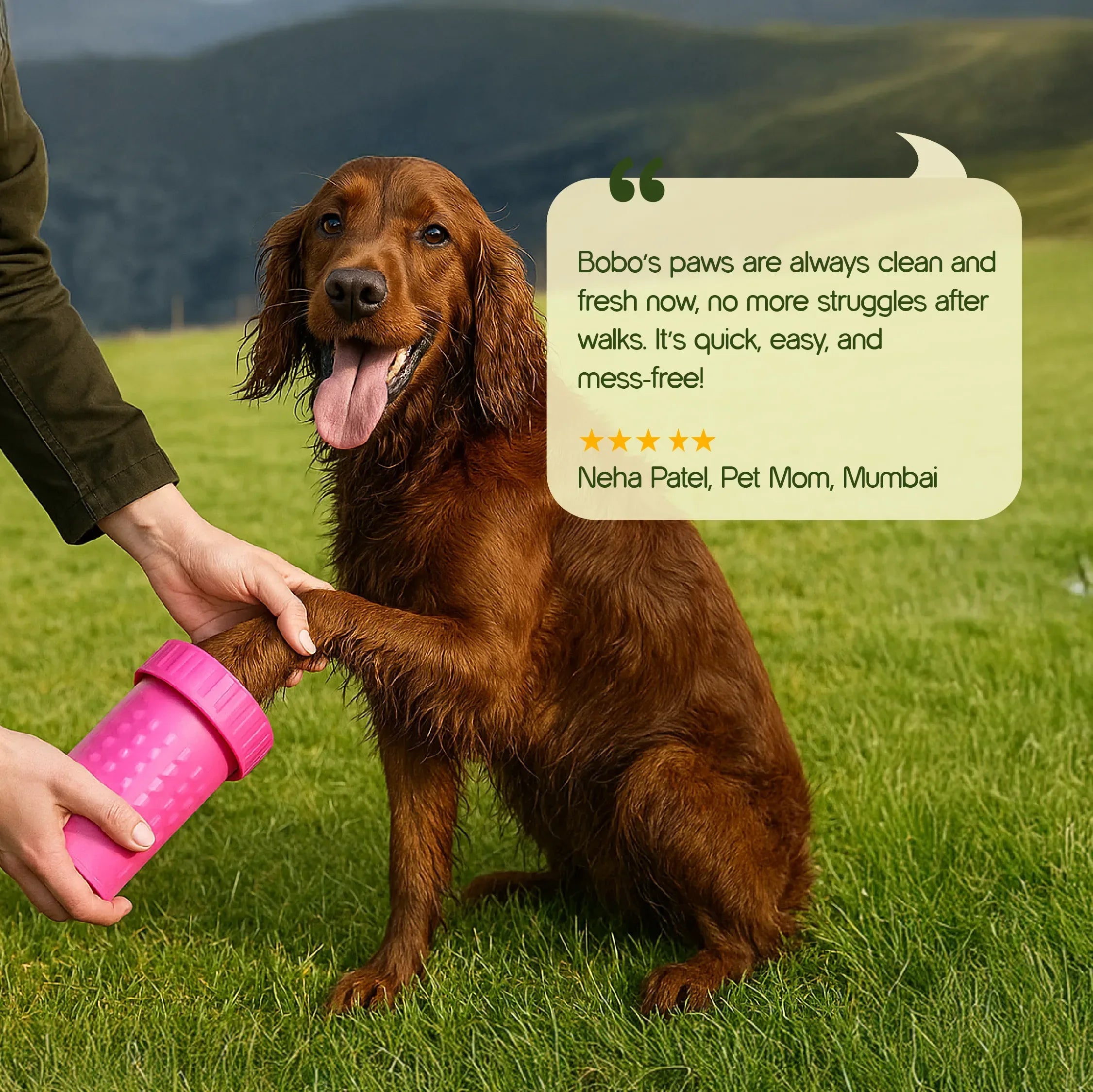 Paw Cleanser – Daily Paw Cleaning Cup | 500ml | Pet Paw Cleaning Solution for Dogs & Cats, Removes Dirt & Debris, Gentle & Safe Formula | Made for Daily Use After Every Walk - Tilting Heads