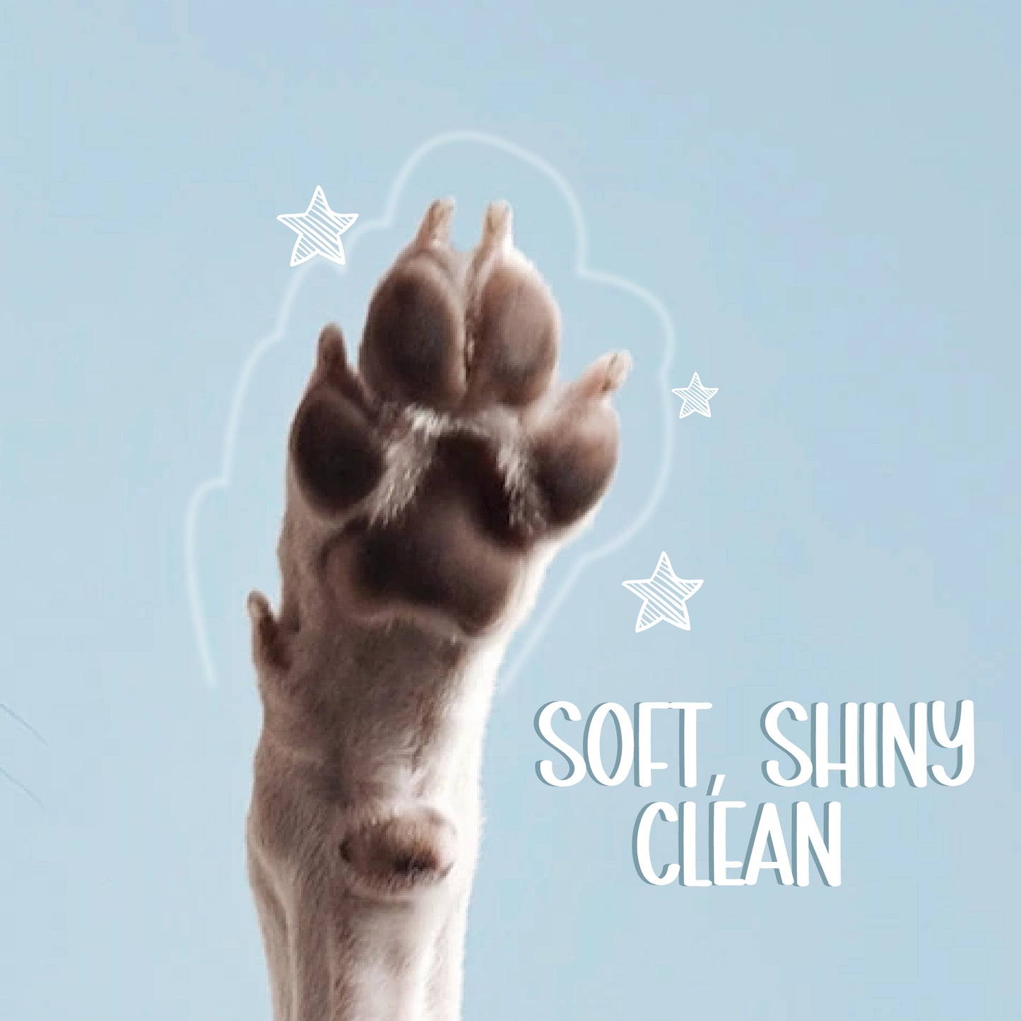 Paw Cleanser