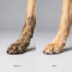 Paw Cleanser