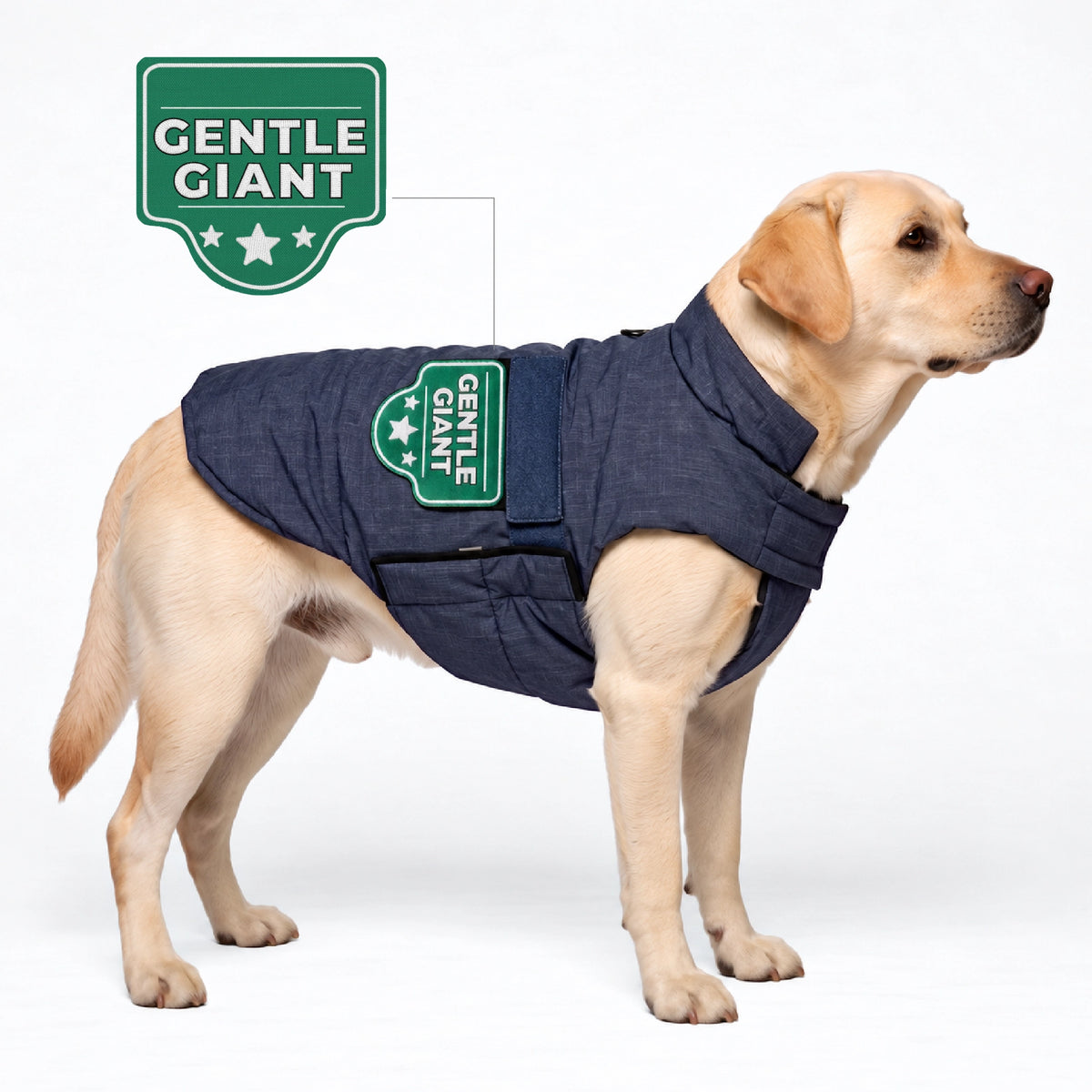 #gentle giant