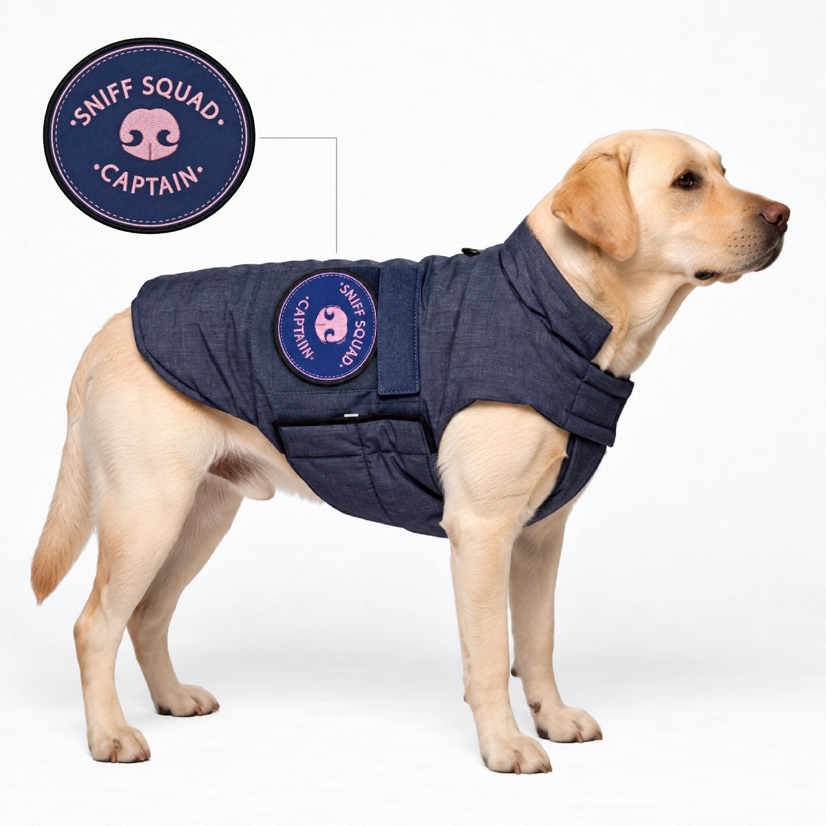 #sniff squad captain