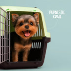 PupNestle Crate | Travel-Ready Carrier for Small Breed Pets - Tilting Heads