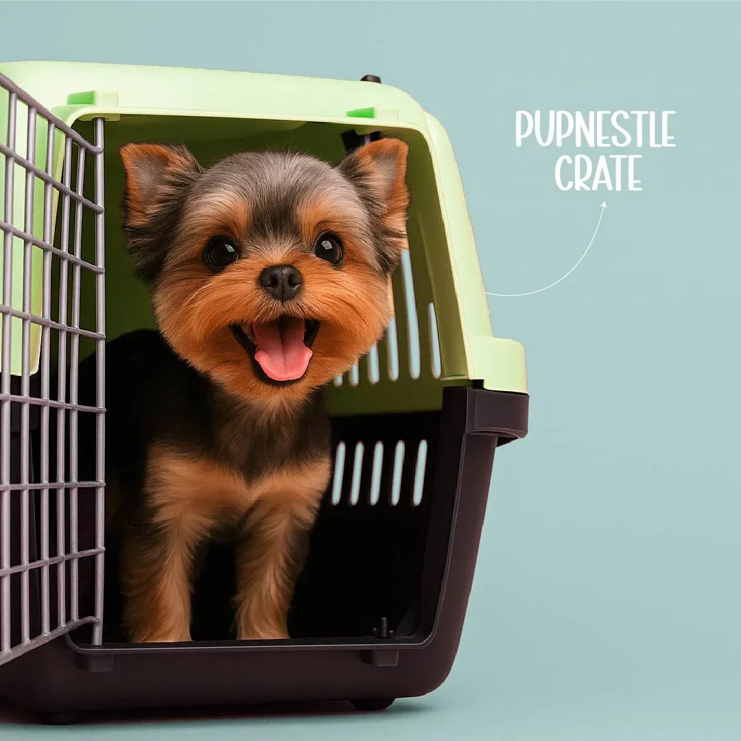 PupNestle Crate | Travel-Ready Carrier for Small Breed Pets - Tilting Heads