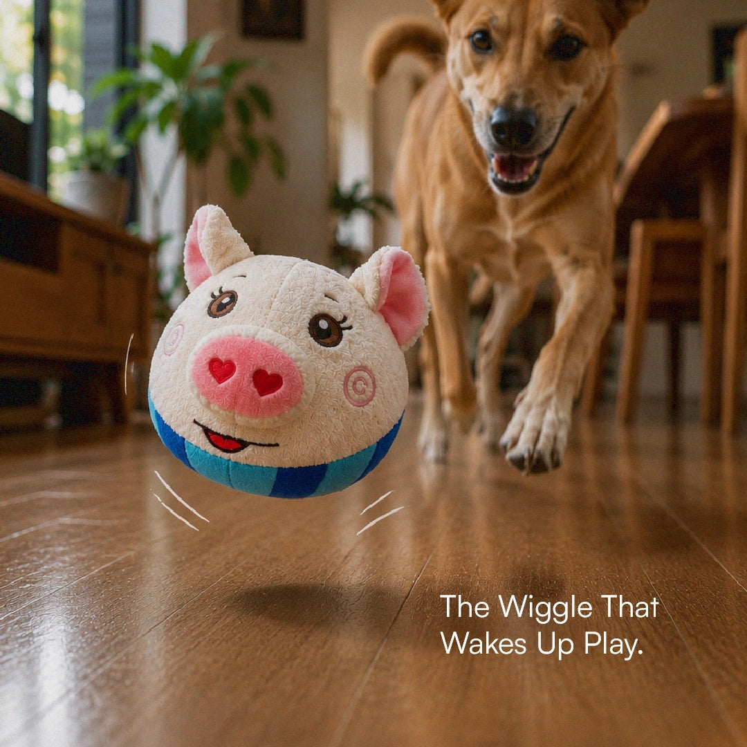 BopPiggy Toy | Interactive Voice Recording Plush Toy for Dogs & Cats