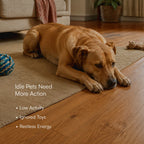 BopPiggy Toy | Interactive Voice Recording Plush Toy for Dogs & Cats