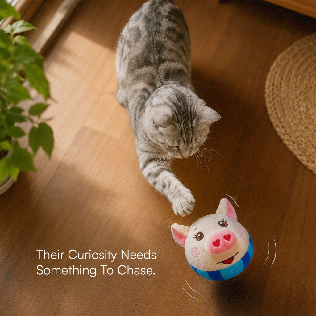BopPiggy Toy | Interactive Voice Recording Plush Toy for Dogs & Cats
