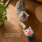 BopPiggy Toy | Interactive Voice Recording Plush Toy for Dogs & Cats