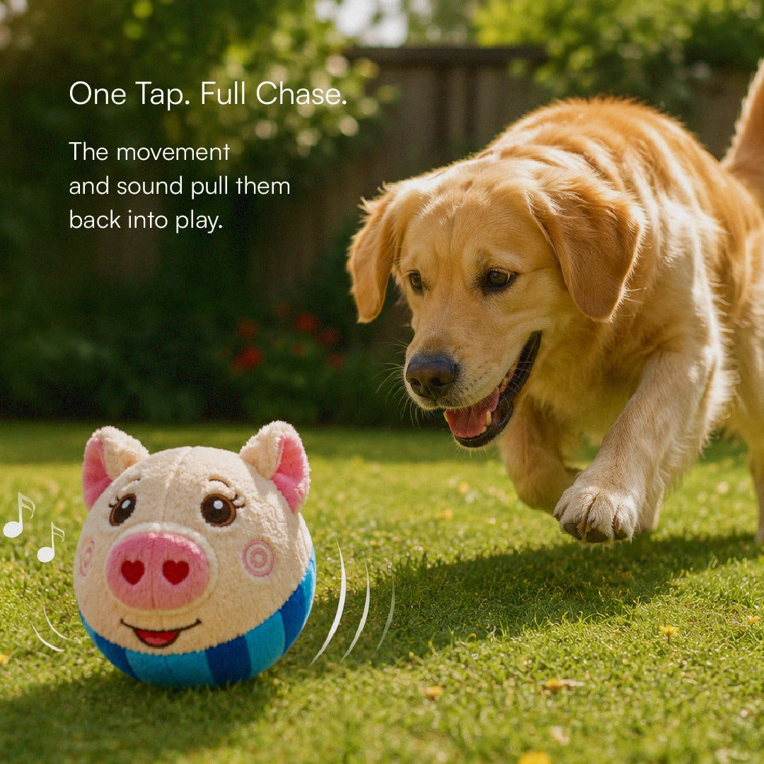 BopPiggy Toy | Interactive Voice Recording Plush Toy for Dogs & Cats