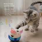 BopPiggy Toy | Interactive Voice Recording Plush Toy for Dogs & Cats