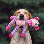 Piggly Chew Toy