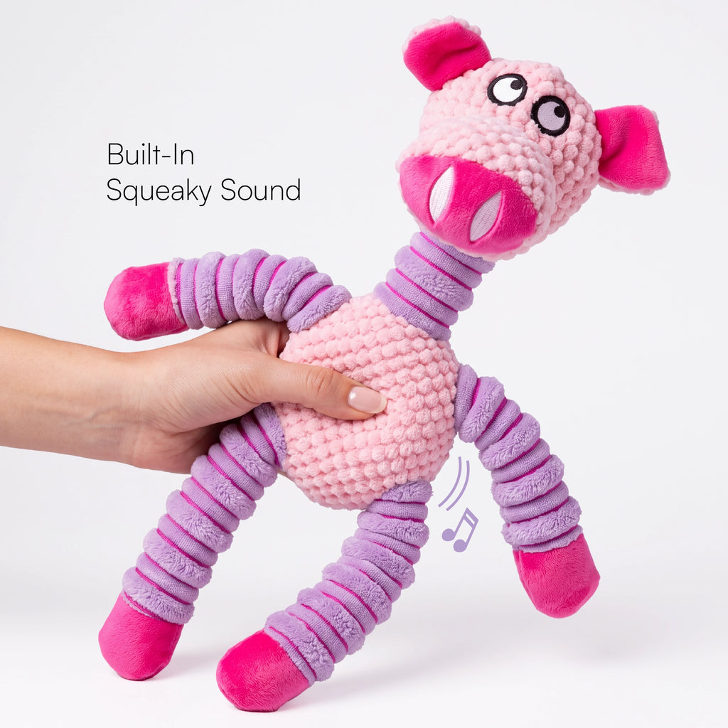 Piggly Chew Toy