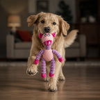 Piggly Chew Toy
