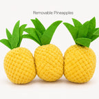 Pineapple Snuffle Toy