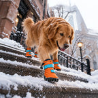Enfold Polar Boots