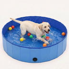 BlueWave Pool – Foldable Pet Swimming Pool for Dogs & Cats | Large Size