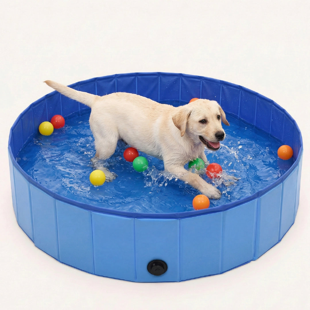 BlueWave Pool – Foldable Pet Swimming Pool for Dogs & Cats | Large Size