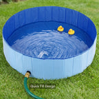 BlueWave Pool – Foldable Pet Swimming Pool for Dogs & Cats | Large Size