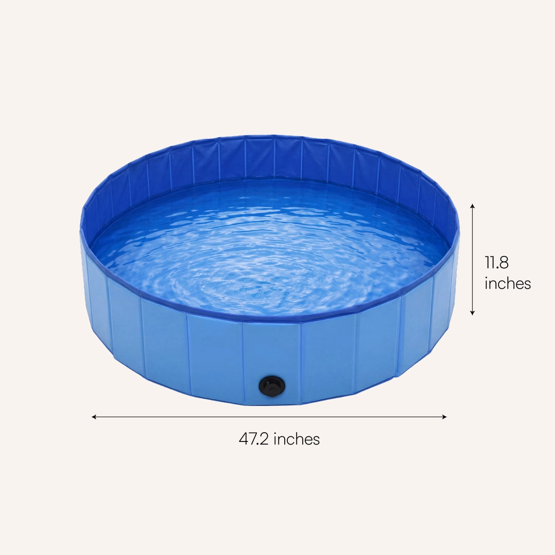 BlueWave Pool – Foldable Pet Swimming Pool for Dogs & Cats | Large Size