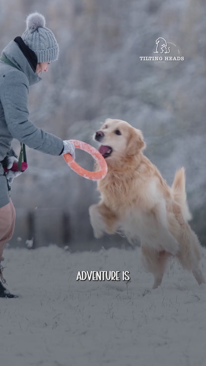Dog water bottle 