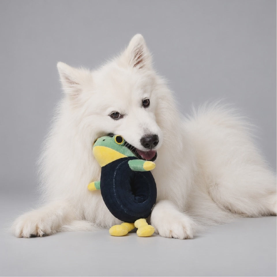 Frog Plush Toy