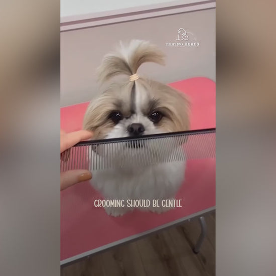 Groom with love, not with struggle! The Pawfect Tidy Comb glides through fur effortlessly, keeping your pet happy and tangle-free. 