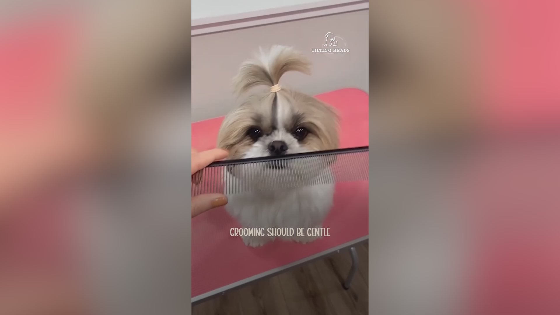 Groom with love, not with struggle! The Pawfect Tidy Comb glides through fur effortlessly, keeping your pet happy and tangle-free. 