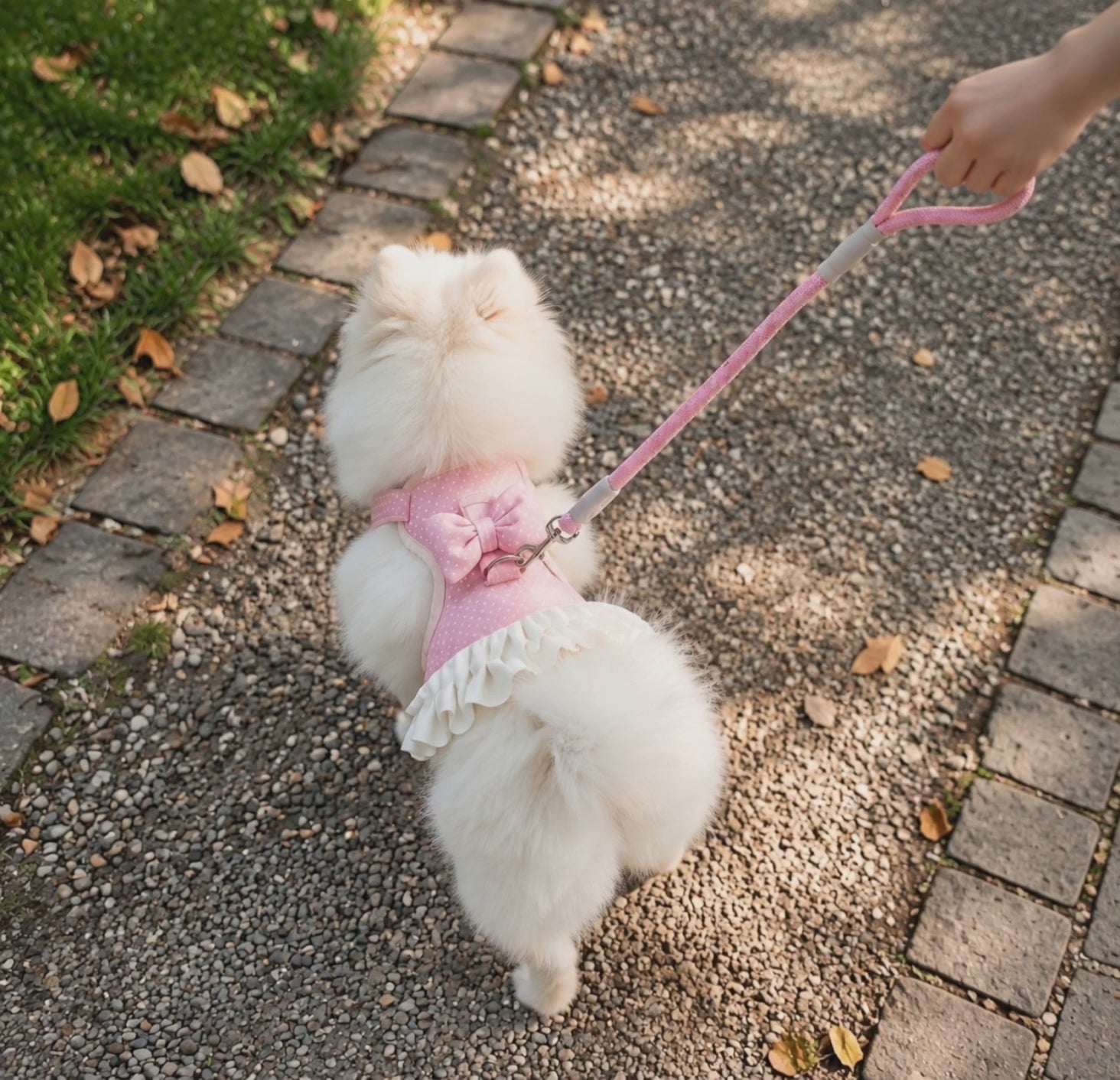 BowBelle Harness