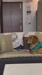 CalmFrost Puffer Jacket | Waterproof, Lightweight & Warm Dog Jacket | Winter Comfort & Style