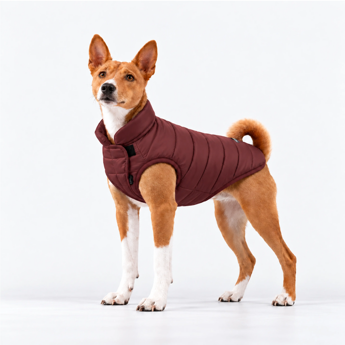 #maroon