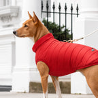 #red
