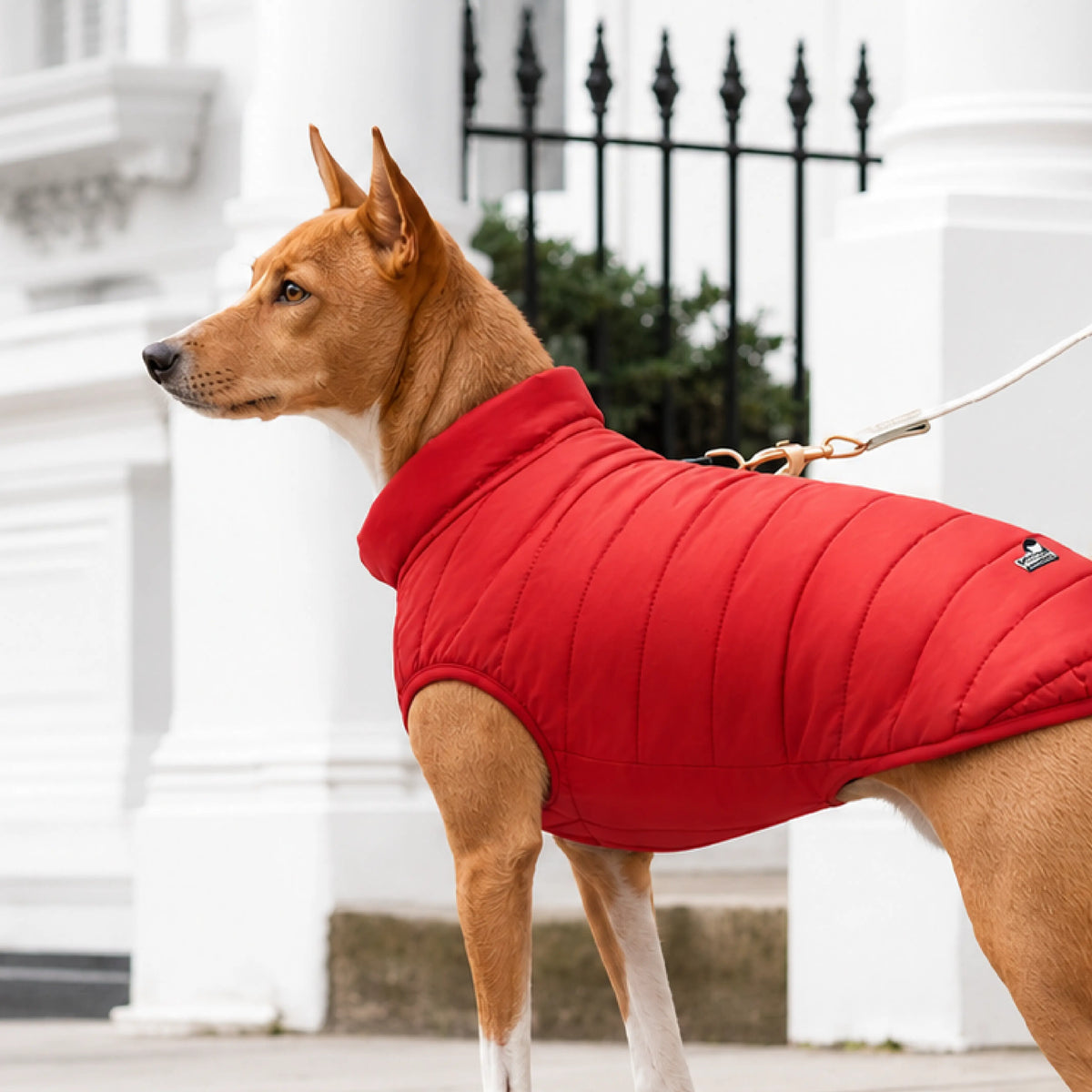 #red