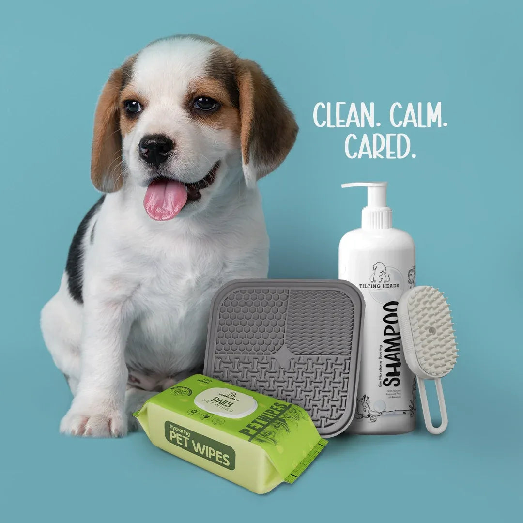 Puppy Homecoming Kit - Tilting Heads