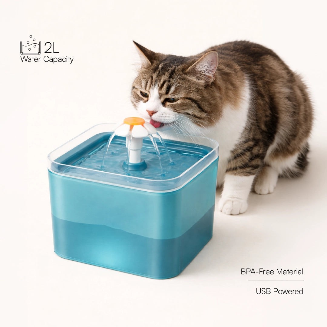 PureSip Fountain | LED Flow | Filtered Hydration for Small Pets