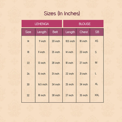 RoyalGlow Lehenga | Festive Outfit for Pets