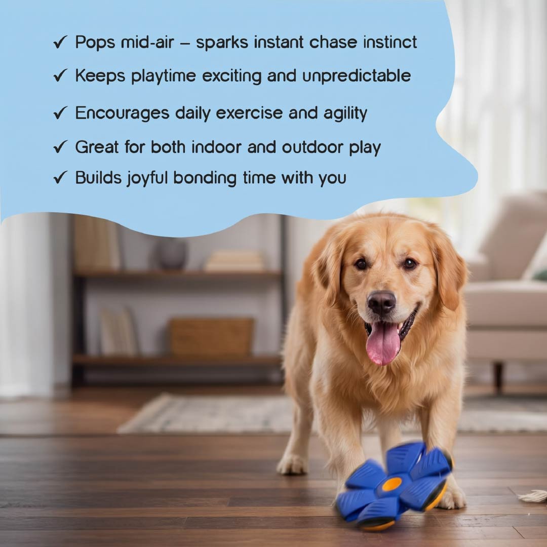 FetchNova UFO Ball | Bounce-Spin Toy | Smart Play for Active Dogs