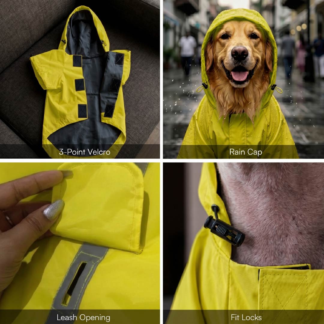 Rover Raincoat – Waterproof Dog Raincoat with Hood, Reflective Strip, Leash Opening & 3-Point Velcro for Monsoon Walks