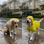 Rover Raincoat – Waterproof Dog Raincoat with Hood, Reflective Strip, Leash Opening & 3-Point Velcro for Monsoon Walks