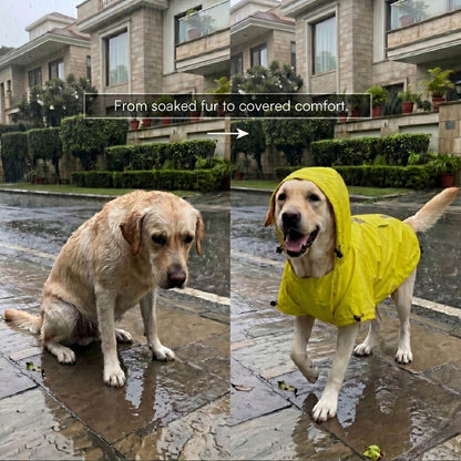 Rover Raincoat – Waterproof Dog Raincoat with Hood, Reflective Strip, Leash Opening & 3-Point Velcro for Monsoon Walks